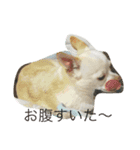 ふぅと愉快な仲間たち（個別スタンプ：9）