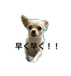 ふぅと愉快な仲間たち（個別スタンプ：14）