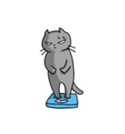 灰ねこニコラス（個別スタンプ：33）