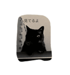 ネコ まる（個別スタンプ：2）