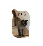 ネコ まる（個別スタンプ：4）