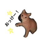 みりんさんの日々〜（個別スタンプ：4）