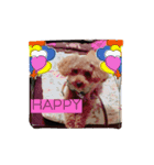チョコです！（個別スタンプ：2）