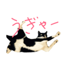 お銀さん（個別スタンプ：3）
