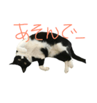お銀さん（個別スタンプ：4）