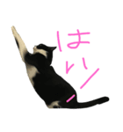 お銀さん（個別スタンプ：6）