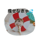 タルギの日常スタンプ（個別スタンプ：7）