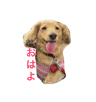 ちくわちゃん通信（個別スタンプ：3）