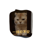 ちんさんスタンプ（個別スタンプ：2）