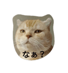ちんさんスタンプ（個別スタンプ：5）