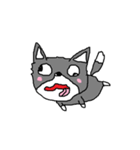 犬の楽しい生活（個別スタンプ：38）