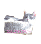vanessaの猫（個別スタンプ：8）