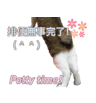 闘病ねこさん（個別スタンプ：5）