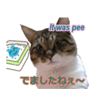 闘病ねこさん（個別スタンプ：6）