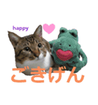 闘病ねこさん（個別スタンプ：8）