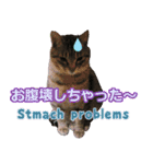 闘病ねこさん（個別スタンプ：9）