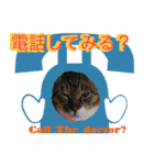闘病ねこさん（個別スタンプ：13）