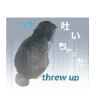 闘病ねこさん（個別スタンプ：15）