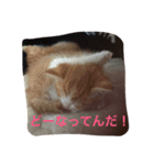 Lovey15（個別スタンプ：4）