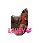 Lovey15（個別スタンプ：7）