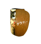 ネコ✖4（個別スタンプ：3）