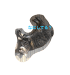こはくとあずき（個別スタンプ：16）