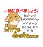 食いしん坊なウサギ日本語タイ語（個別スタンプ：25）