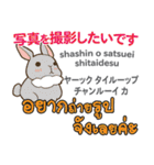 カワイイウサギ日本語タイ語（個別スタンプ：8）