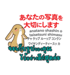カワイイウサギ日本語タイ語（個別スタンプ：9）