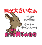 カワイイウサギ日本語タイ語（個別スタンプ：28）