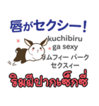 カワイイウサギ日本語タイ語（個別スタンプ：31）