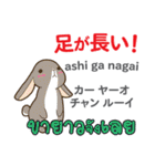 カワイイウサギ日本語タイ語（個別スタンプ：39）