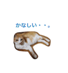 ミルクときなこ①（個別スタンプ：24）