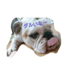 ムームーちゃま♪（個別スタンプ：10）