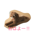 メルちゃんスタンプ（個別スタンプ：1）
