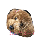 メルちゃんスタンプ（個別スタンプ：4）