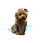 メルちゃんスタンプ（個別スタンプ：5）