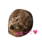 メルちゃんスタンプ（個別スタンプ：8）