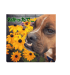 ハマダです…。②（個別スタンプ：6）