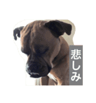ハマダです…。②（個別スタンプ：18）