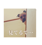 ハマダです…。②（個別スタンプ：24）
