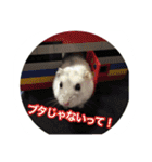 ハムスター(マリー)の日常スタンプ（個別スタンプ：3）
