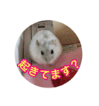 ハムスター(マリー)の日常スタンプ（個別スタンプ：21）