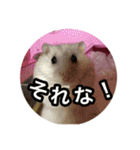 ハムスター(マリー)の日常スタンプ（個別スタンプ：22）