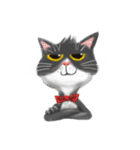 Cat Colors（個別スタンプ：2）