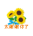 ありがとう花が咲くよ 中国語版（個別スタンプ：1）