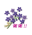 ありがとう花が咲くよ 中国語版（個別スタンプ：3）