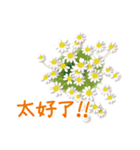 ありがとう花が咲くよ 中国語版（個別スタンプ：6）