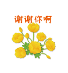 ありがとう花が咲くよ 中国語版（個別スタンプ：14）
