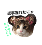 わんにゃんEveryday（個別スタンプ：14）